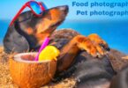 Food photography : Pet photography