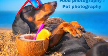 Food photography : Pet photography